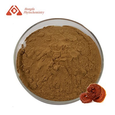 مسحوق الفطر ريشي